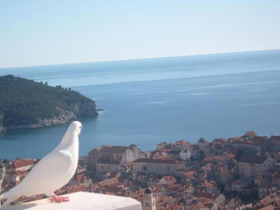 Romantic Ap,With Amazing View Ragusa Esterno foto
